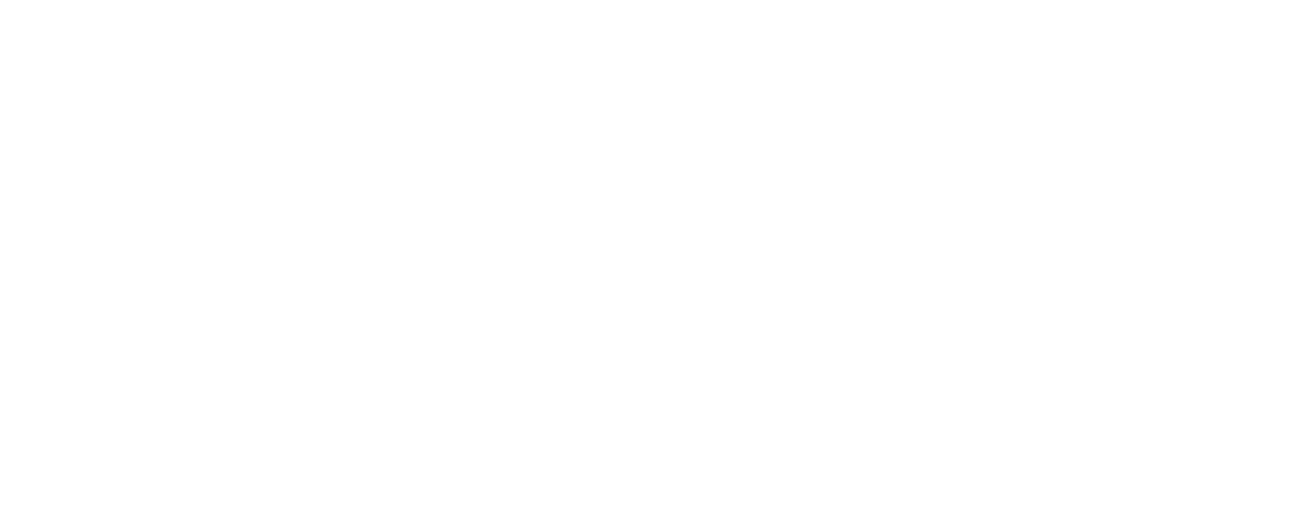 Medal-of-Excellence-White medal of excellence 2025