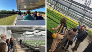 Florida Nurseries Call for Focus on Disease and Pest Control Solutions