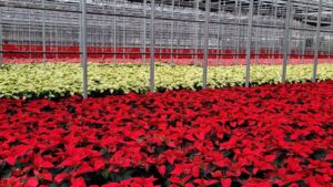 Why N.G. Heimos’ Recent Acquisition Offers Promise for the Future