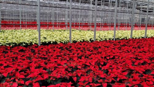 Why N.G. Heimos’ Recent Acquisition Offers Promise for the Future