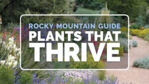 Introducing the New ‘Rocky Mountain Guide: Plants That Thrive’