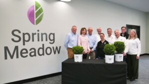 Partnership Adds NewGen Boxwood to Proven Winners ColorChoice Line