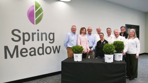 Partnership Adds NewGen Boxwood to Proven Winners ColorChoice Line