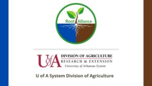 Learning Opportunity: New Root Zone Solutions for Controlled Environment Horticulture