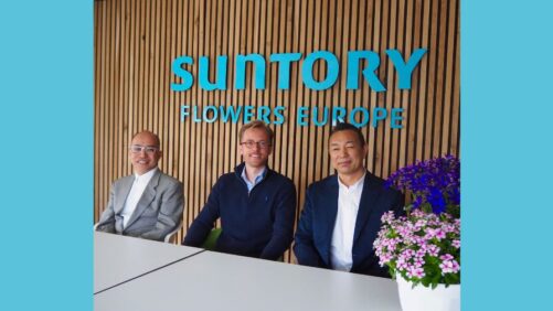 Suntory Flowers Europe Appoints New Executive Leadership Team