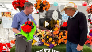 Videos from CAST 2025: Check Out the iCandy Begonia Series from Syngenta Flowers