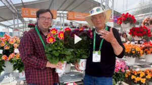 Videos from CAST 2025: Dümmen Orange’s New Dahlia Summer Bees Series