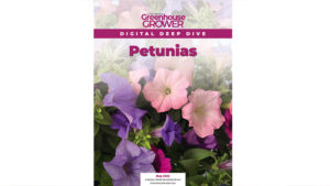 Don’t Miss Greenhouse Grower’s Digital Deep Dive on Petunias