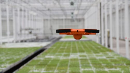 The Status of Drone Tech in the Greenhouse Market