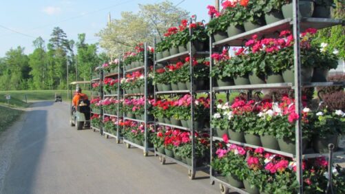 How a Top 100 Grower Implemented a ‘Supermarket’ Fulfillment System