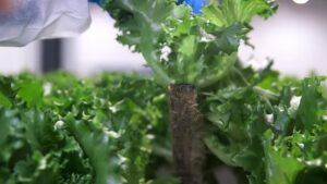 GreenTech Announces Finalists for Its Innovation and Concept Awards