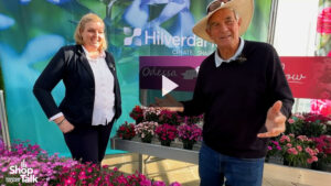 Videos from CAST 2025: Four New Varieties in HilverdaFlorist’s Dianthus Beauties Series