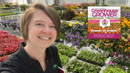 Greenhouse Grower to Grower Podcast: AFE’s Laura Barth on Research Funding, and How You Can Support American Floral Endowment