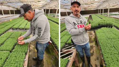 How a Top 100 Grower Unlocked New Opportunities Through Customer Success
