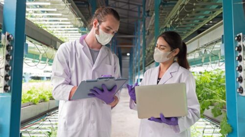 CEA Technology Adoption Trends in the Vertical Farming Sector