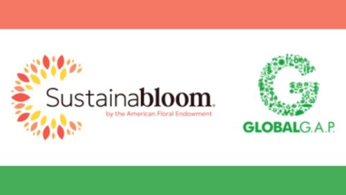 Learning Opportunity: Demystifying Certifications in Floriculture