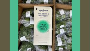 Syngenta Flowers Adopts Tapp Paper Data Loggers for Improved Sustainability