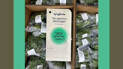 Syngenta Flowers Adopts Tapp Paper Data Loggers for Improved Sustainability