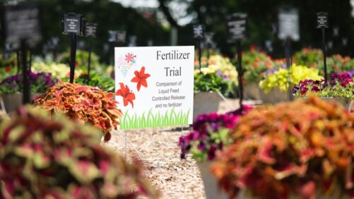 How Top 100 Growers Are Planning for 2025 Field Trials