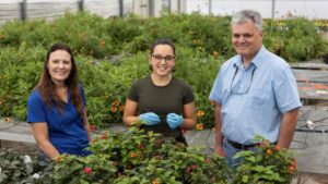 New UF/IFAS Research Looks to Protect Pollinators from Pesticide Exposures