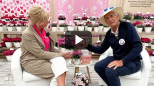 Videos from CAST 2025: Favoring Fragrance with the DiaDeur Dianthus Series from Selecta