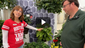 Videos from CAST 2025: New Patio Vegetables from Syngenta Flowers