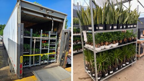 Addressing Common Trucking Challenges in the Greenhouse Industry