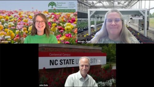 Video of the Week: How to Submit a Strong Research Proposal