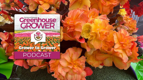 Greenhouse Grower to Grower Podcast: A California Spring Trials Recap From a First-Time Attendee