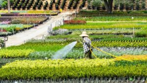How to Protect Workers from Extreme Heat in Greenhouses and Nurseries