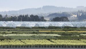 Monrovia Names New Headquarters Location