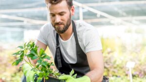 Amidst Economic Anxiety, Gardeners Are Sticking Around — Will You?