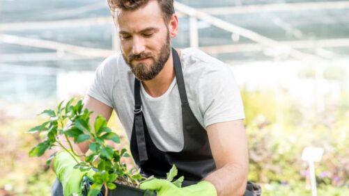 Amidst Economic Anxiety, Gardeners Are Sticking Around — Will You?