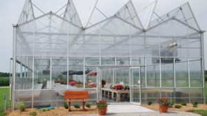 How Greenhouse Ventilation Impacts Customer Comfort and Sales
