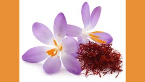 Expanding the Appeal of Fragrance in Floriculture Marketing