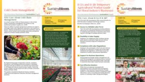 Sustainabloom Adds New Guides on Cold Chain Management and Work Visas