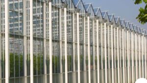Venlo Glass Greenhouses