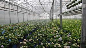 How Greenhouse Structures and Components Companies Can Better Work Together