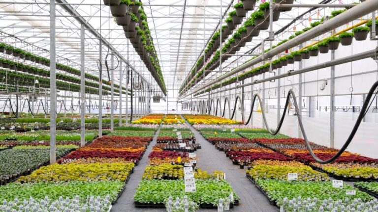 Key Opportunities Driving the Greenhouse Structures and Components Market