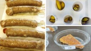 Inside the CSMI’s New Food Technology Laboratory