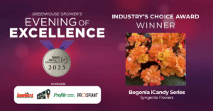 Industry’s Choice Award: Begonia iCandy Series (Syngenta Flowers)
