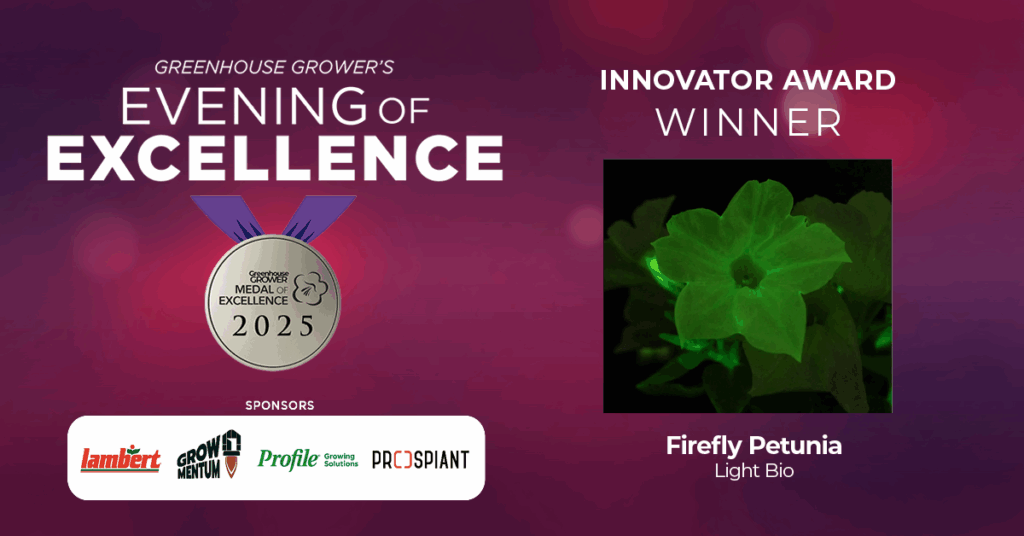 Innovator Award: Light Bio/Firefly Petunia