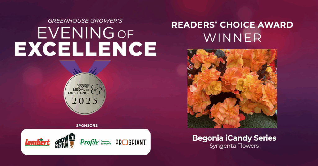Readers’ Choice Award: Begonia iCandy Series (Syngenta Flowers)