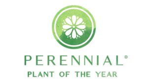 Announcing the 2026 Perennial Plant of the Year