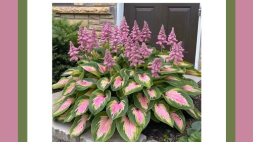 Do AI Flowers Pose a Threat to the Floral Industry?