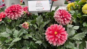 15 Products That Wowed Garden Retailers During Cultivate’25