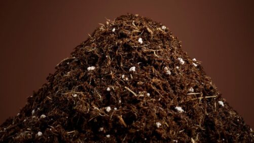 Moving Away from Peat: Exploring Alternative Growing Media Options