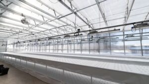 Equipment Planning and Upgrading for Improved Greenhouse Efficiency