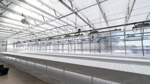 Equipment Planning and Upgrading for Improved Greenhouse Efficiency