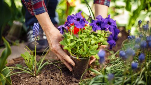 Three Organizations That Need Your Support